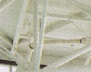 SFO International Airport